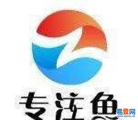 新城版权代理 连接创作与市场的专业桥梁