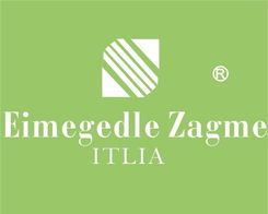 桐乡市博通商标代理网站 企业品牌资产的守护者与价值实现者