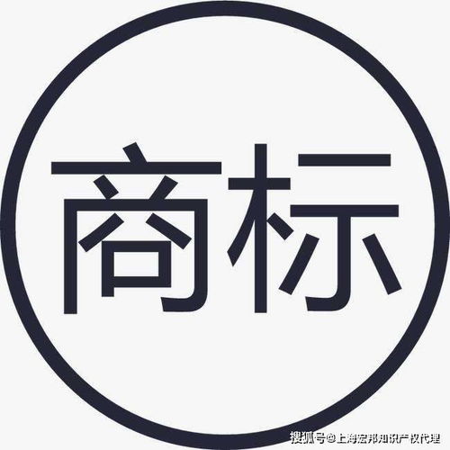从创意到保护 详解文字商标注册流程与版权代理服务